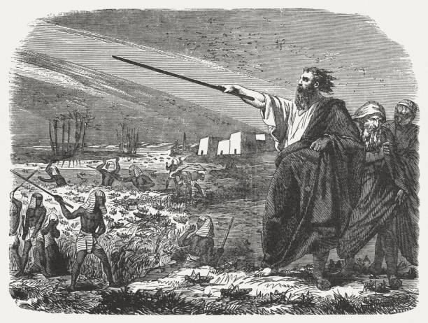 engraving of the 8th plague on Egypt